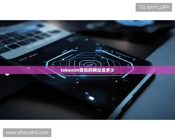 壹号app在线登录入口：确保账号安全的登录流程指南