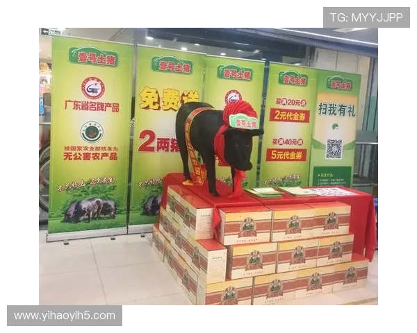 壹号官网:获取壹号官方最新促销活动与客户服务信息 壹号官网:获取壹号官方最新促销活动与客户服务信息