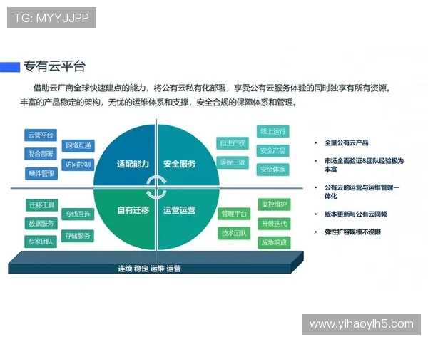 壹号网络科技:在云计算与大数据时代下的战略布局与未来发展方向